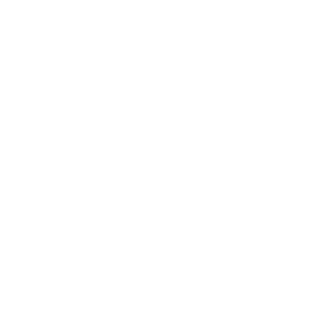 NVIDIA-Logo-V-ForScreen-AllWht (1)